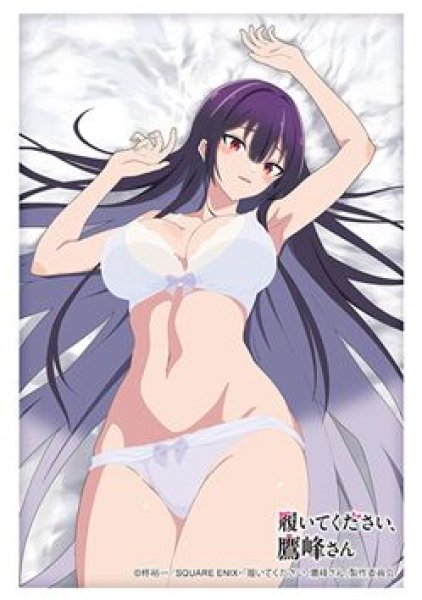画像1: 【予約：5月13日(火)20時まで】ブシロードスリーブコレクションHG Vol.4837　TVアニメ「履いてください、鷹峰さん」『鷹峰高嶺』下着ver. (1)