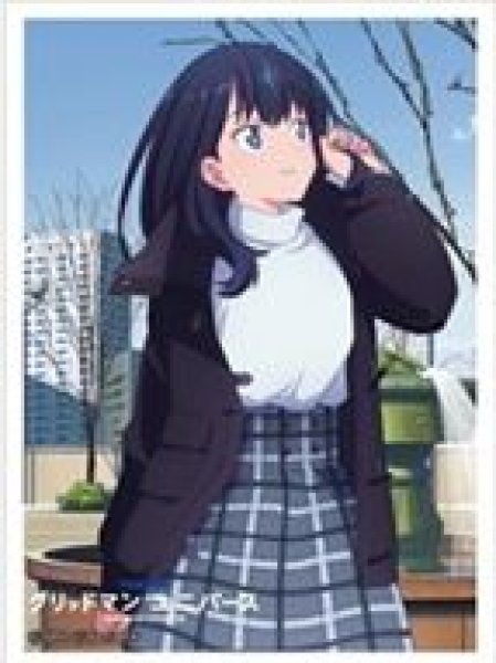画像1: 【予約：5月25日(日)20時まで】カーテン魂／(株)キース　グリッドマン ユニバース　スリーブ（宝多六花／冬デート） (1)