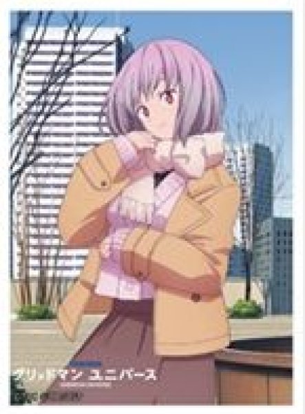 画像1: 【予約：5月25日(日)20時まで】カーテン魂／(株)キース　グリッドマン ユニバース　スリーブ（新条アカネ／冬デート） (1)