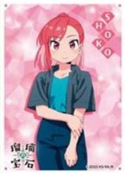 画像1: 【予約：9月14日(日)20時まで】エンスカイ　キャラクタースリーブ TVアニメ 『瑠璃の宝石』 瀬戸 硝子 (EN-1517) (1)