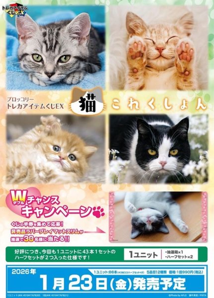 画像1: 【予約：10月8日(水)20時まで】ブロッコリートレカアイテムくじEX 「猫これくしょん」　1ユニット (1)