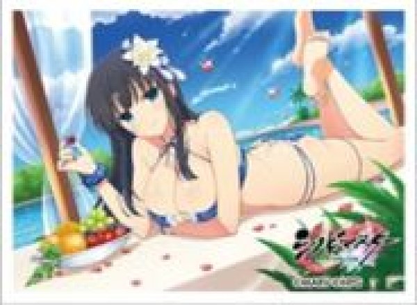 画像1: 【予約：10月25日(土)20時まで】カーテン魂／(株)キース　シノビマスター 閃乱カグラ NEW LINK　スリーブ（斑鳩／人気投票爆乳祭） (1)