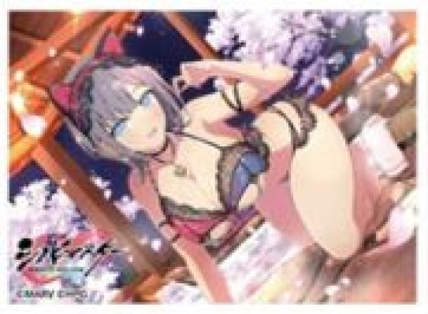 画像1: 【予約：10月25日(土)20時まで】カーテン魂／(株)キース　シノビマスター 閃乱カグラ NEW LINK　スリーブ（雪泉／81の日盛・伝説双乳祭） (1)