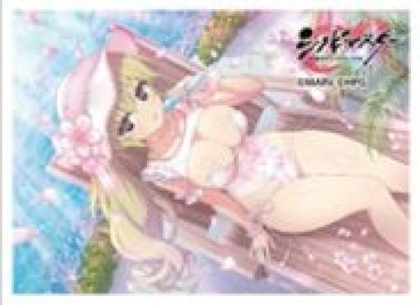 画像1: 【予約：10月25日(土)20時まで】カーテン魂／(株)キース　シノビマスター 閃乱カグラ NEW LINK　スリーブ（華風流／盛・伝説爆乳祭・弐） (1)