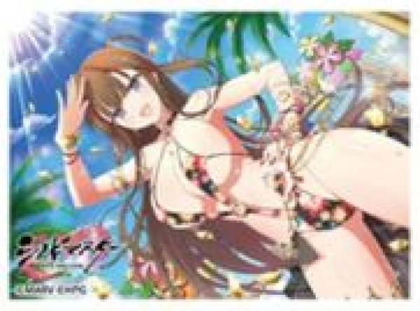 画像1: 【予約：10月25日(土)20時まで】カーテン魂／(株)キース　シノビマスター 閃乱カグラ NEW LINK　スリーブ（鴇／人気投票新乳祭） (1)