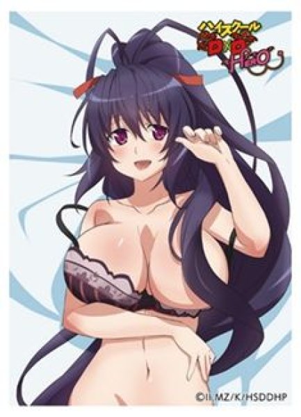 画像1: 【予約：10月26日(日)20時まで】カーテン魂／(株)キース　ハイスクールD×D HERO　スリーブ（姫島朱乃） (1)