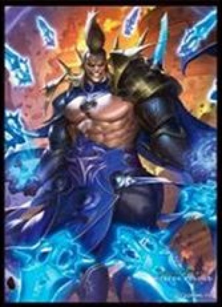 画像1: 【予約：11月16日(日)20時まで】ムービック　きゃらスリーブコレクション　マットシリーズ　Shadowverse: Worlds Beyond　「絶尽の顕現・ライオ」(No.MT2232) (1)