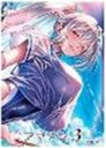 画像1: 【予約：11月16日(日)20時まで】ムービック　きゃらスリーブコレクション　マットシリーズ　ネクストン　アマカノ3　御所院冬樺(MT2283) (1)