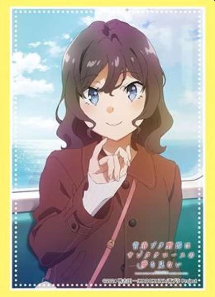 画像1: 【予約：1月27日(火)20時まで】ブシロードスリーブコレクションHG Vol.5094　青春ブタ野郎はサンタクロースの夢を見ない『姫路紗良』 (1)