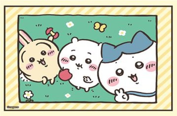 画像1: 【予約：2月3日(火)20時まで】ブシロードスリーブコレクションHG Vol.5100　『ちいかわ』思い出の写真ver. (1)