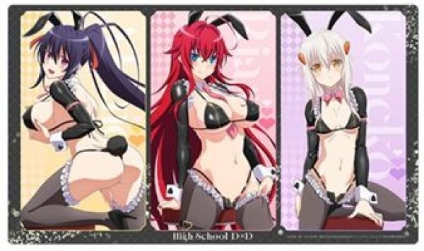 画像1: 【予約：2月22日(日)20時まで】カーテン魂／(株)キース　ハイスクールD×D HERO　描き下ろしラバーマット（逆バニー（黒）） (1)