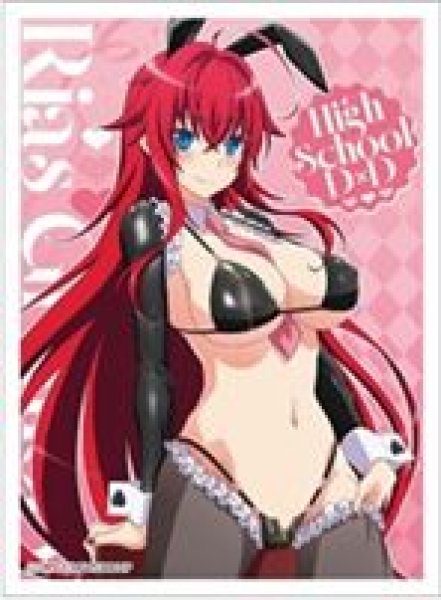 画像1: 【予約：2月22日(日)20時まで】カーテン魂／(株)キース　ハイスクールD×D HERO　描き下ろしスリーブ（リアス・グレモリー／逆バニー（黒）） (1)