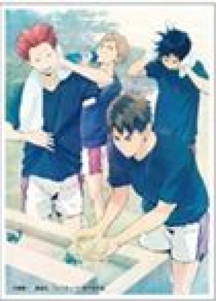 画像1: 【予約：3月21日(土)20時まで】エンスカイ　アニメ「ハイキュー！！」キャラクタースリーブ　若葉風(EN-1634) (1)