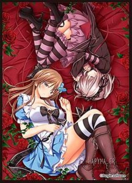 画像1: 【予約：3月24日(火)20時まで】ムービック　きゃらスリーブコレクション　マットシリーズ　ハピメア REGRET END A(No.MT2392) (1)