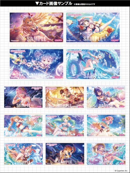 画像2: 【予約：4月6日(月)20時まで】ブシロード トレーディングカードコレクションクリア　プリンセスコネクト！Re:Dive　ボックス (2)