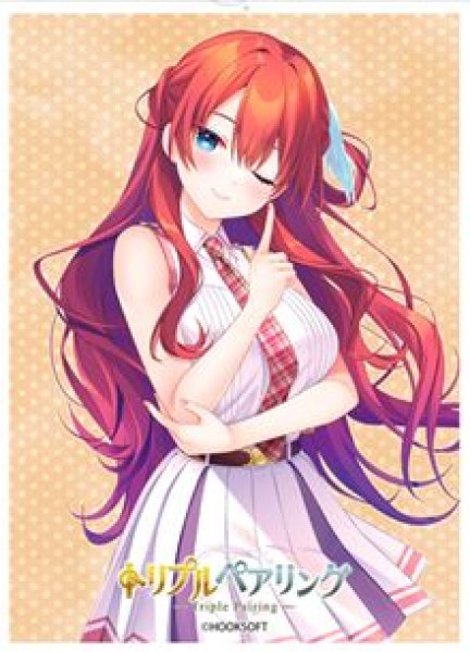 画像1: 【予約：6月23日(火)20時まで】ムービック　きゃらスリーブコレクション マットシリーズ　HOOKSOFT　「トリプルペアリング」  大鳳峰 ナスカ(No.MT2476) (1)