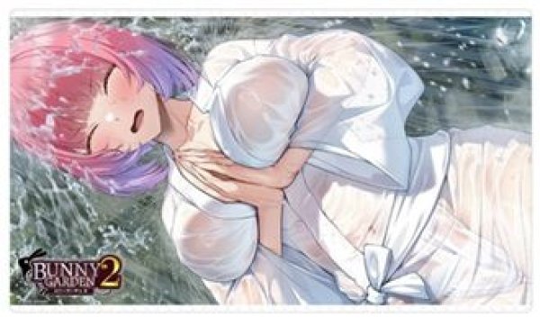 画像1: 【予約：7月6日(月)20時まで】カーテン魂／(株)キース　バニーガーデン2　ラバーマット（黒音） (1)