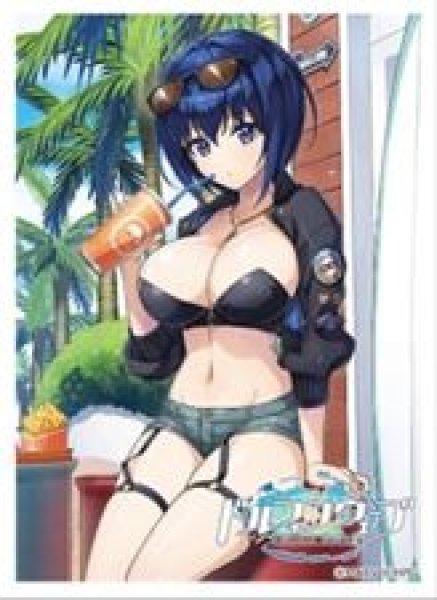 画像1: 【予約：8月10日(月)20時まで】カーテン魂／(株)キース　ドルフィンウェーブ　描き下ろしスリーブ（都条 みちる/コーストライディング） (1)
