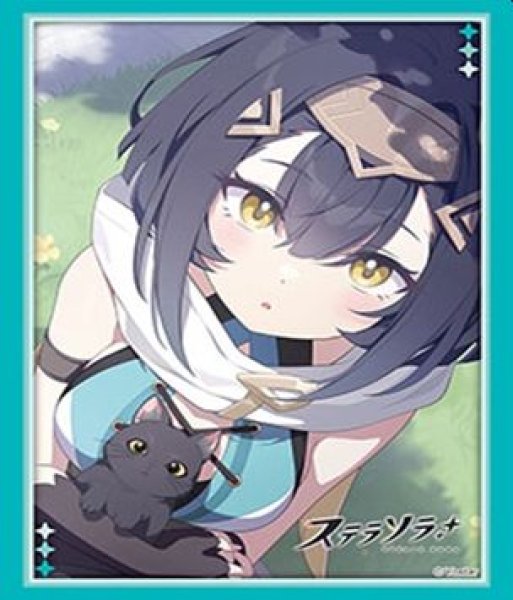 画像1: 【予約：8月18日(火)20時まで】ブシロードスリーブコレクションHG Vol.5246　ステラソラ『コハク』 (1)