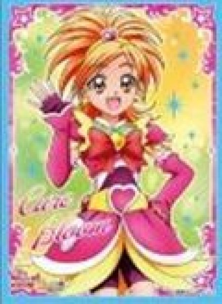 画像1: 【予約：9月8日(火)20時まで】エンスカイ　キャラクタースリーブ プリキュアクロニクル ふたりはプリキュア Splash☆Star　キュアブルーム (EN-1680) (1)