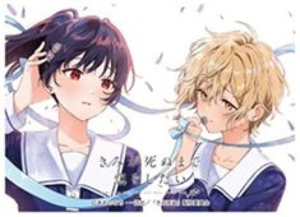 画像1: 【予約：9月21日(月)20時まで】ムービック　きゃらスリーブコレクション マットシリーズ　「きみが死ぬまで恋をしたい」 セイラン＆アリ(No.MT2496) (1)