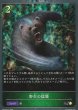 BR・プレミアム