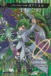 MSR極