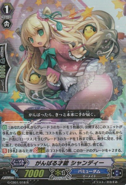 R(RR仕様)