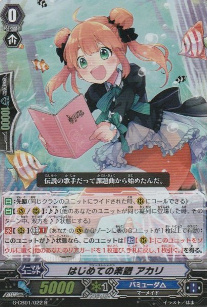 R(RR仕様)