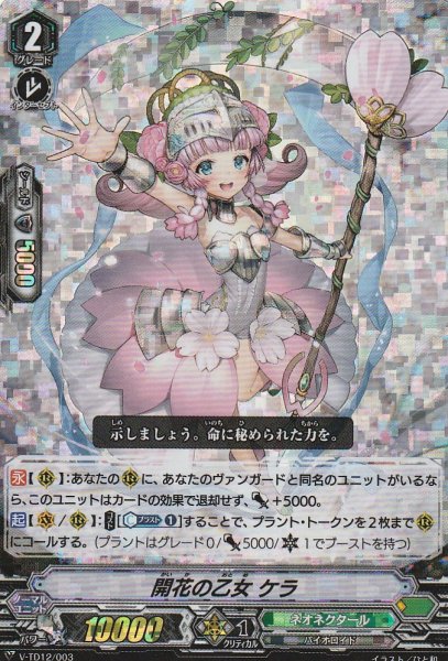 TD(RRR仕様)