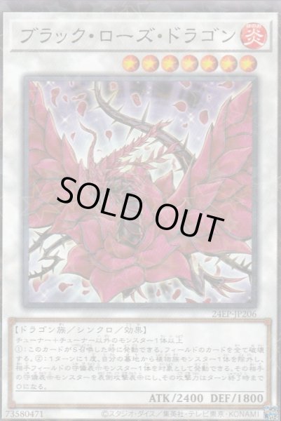 NP