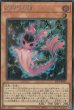 SCR(ロゴ無し)