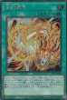 SCR(ロゴ無し)