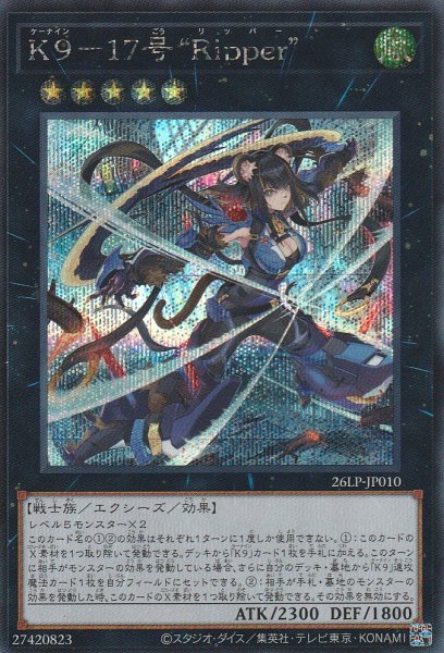 SCR(ロゴ無し)