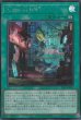 SCR(ロゴ無し)