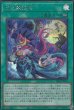 SCR(ロゴ無し)