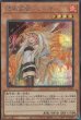 SCR(イラスト違い)