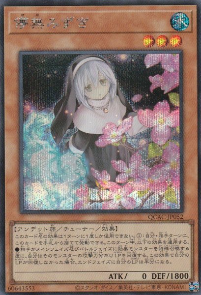 SCR(イラスト違い)